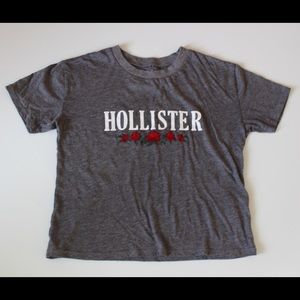 Hollister rose logo graphic tee